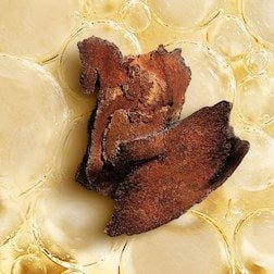 Ingredient Cedar Wood Oil Large